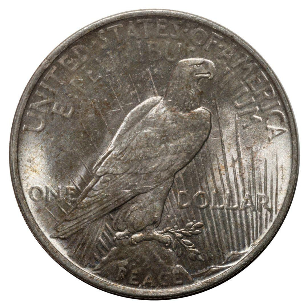 1922 Peace Silver Dollar XF - Midwest Precious Metals