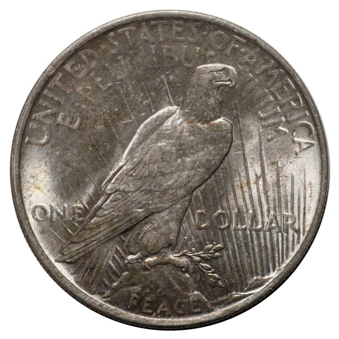 1922 Peace Silver Dollar XF - Midwest Precious Metals