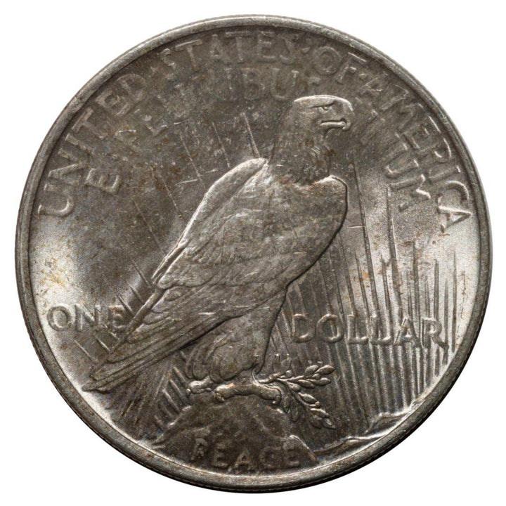1922 Peace Silver Dollar XF - Midwest Precious Metals