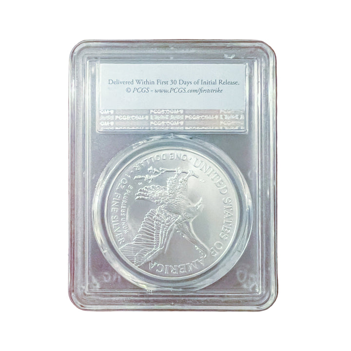 Silver coin in a protective plastic case on a wooden surface