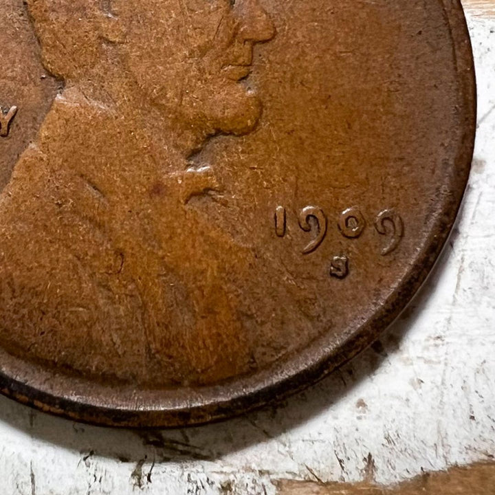 1909 S VDB Wheat Penny Fine 12